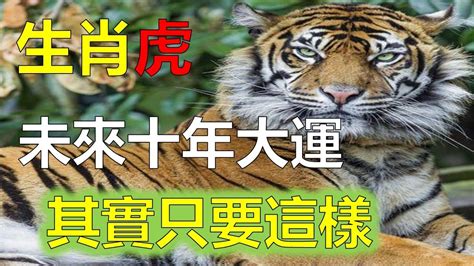 1974生肖2023運勢|1974年属虎人2023年运势及运程 74年49岁生肖虎2023年每月运。